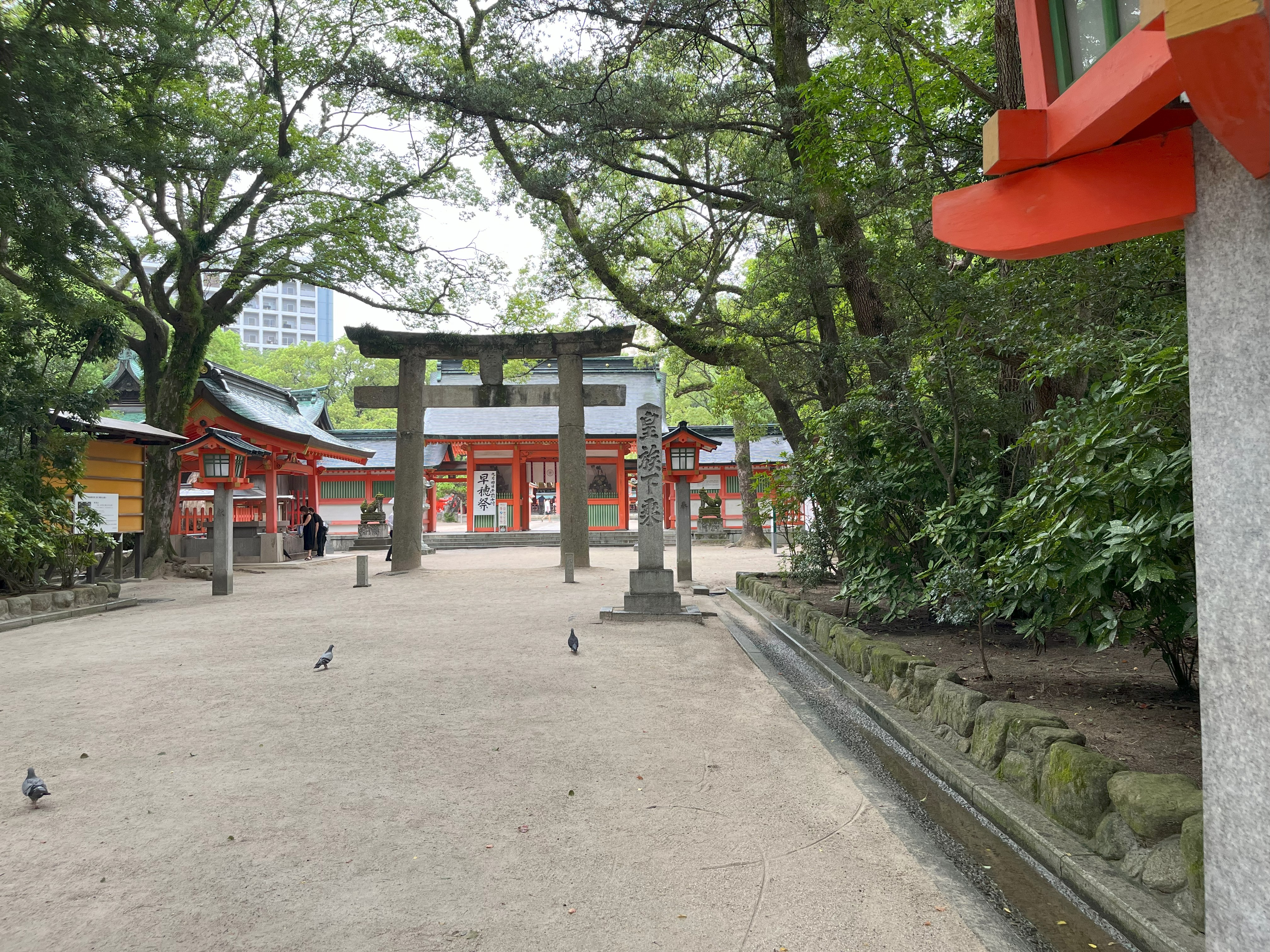 The tree-lined precincts of Sumiyoshi Shrine in Hakata, Fukuoka