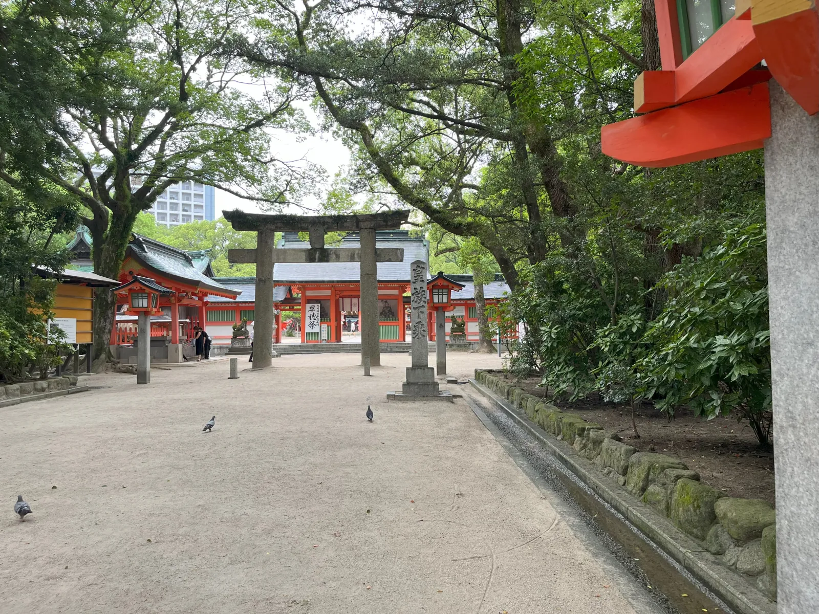 The tree-lined precincts of Sumiyoshi Shrine in Hakata, Fukuoka