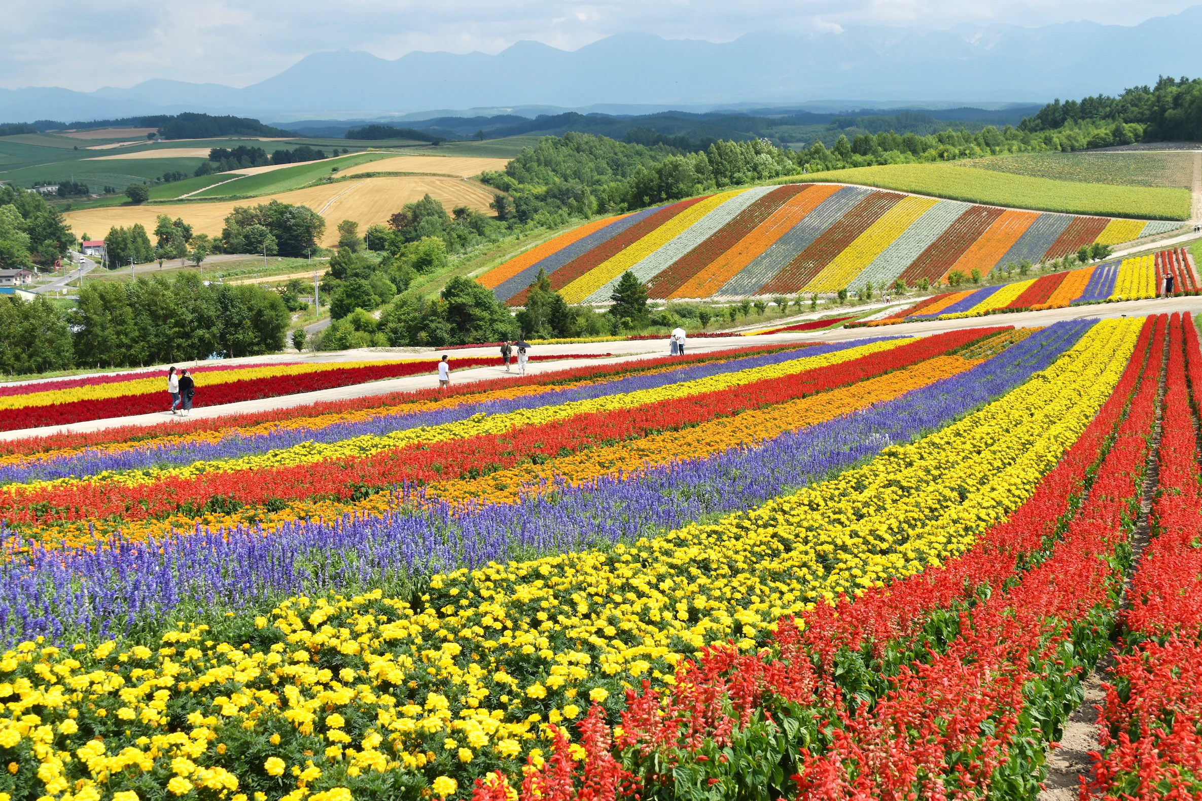 Featured image of post Hokkaido: Japan's Last Frontier, and Why That Phrase Actually Means Something