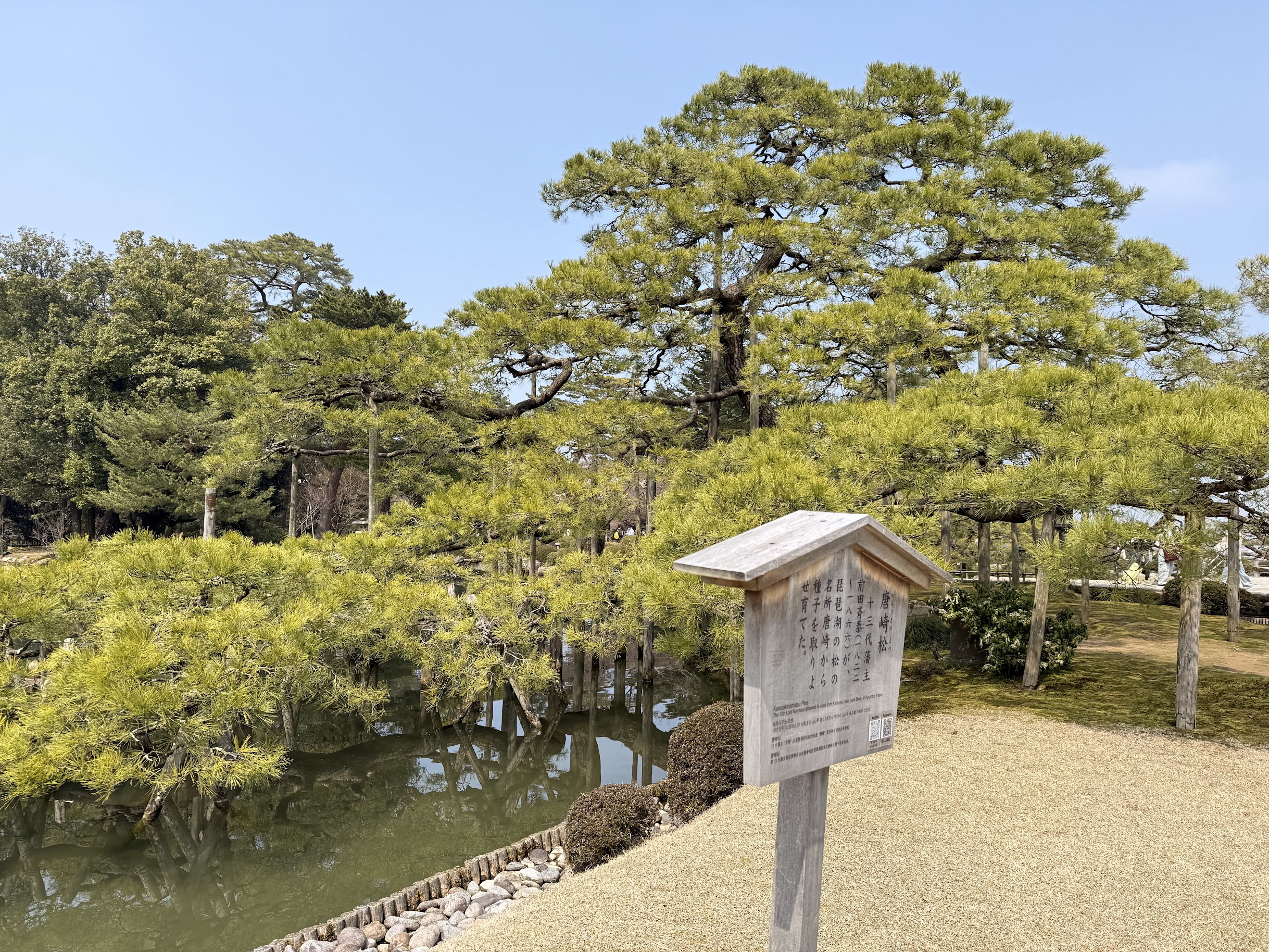 Kenrokuen yukitsuri ropes in winter—hundreds of pines supported against snow weight from November through March