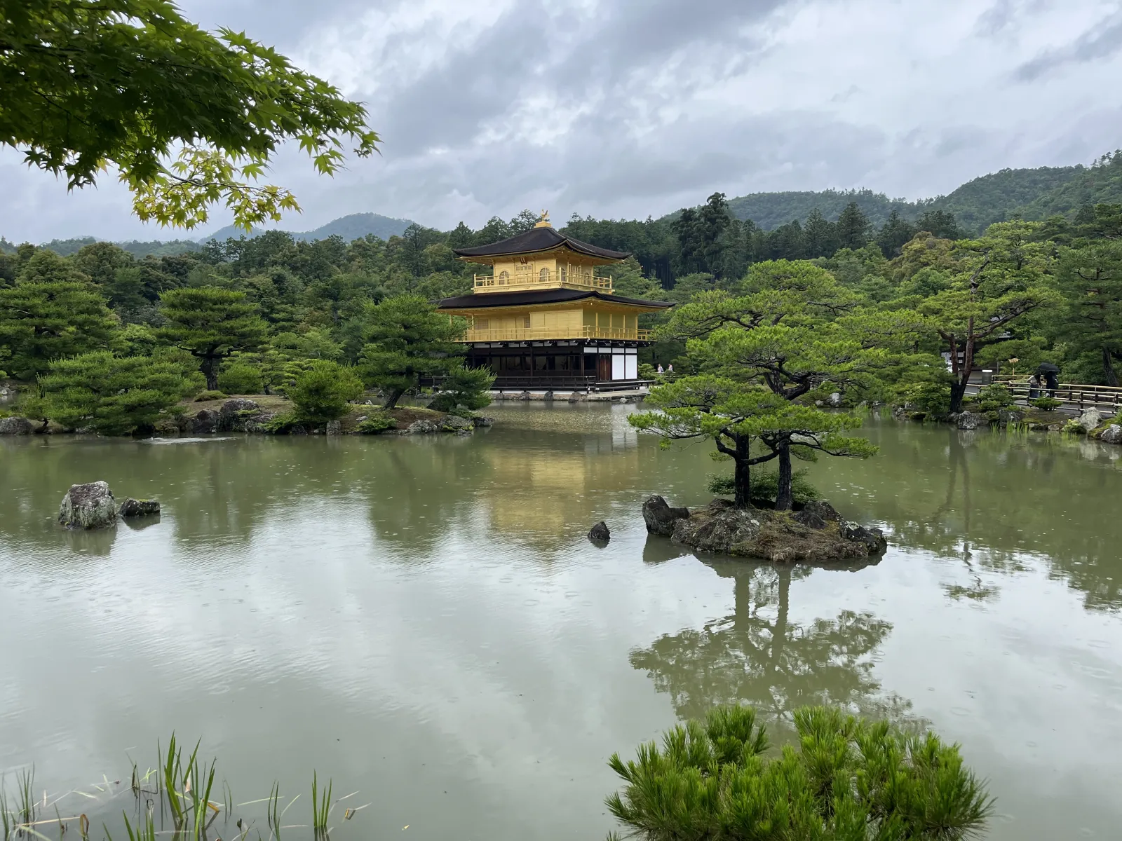 The full east elevation of Kinkakuji from the garden walk path