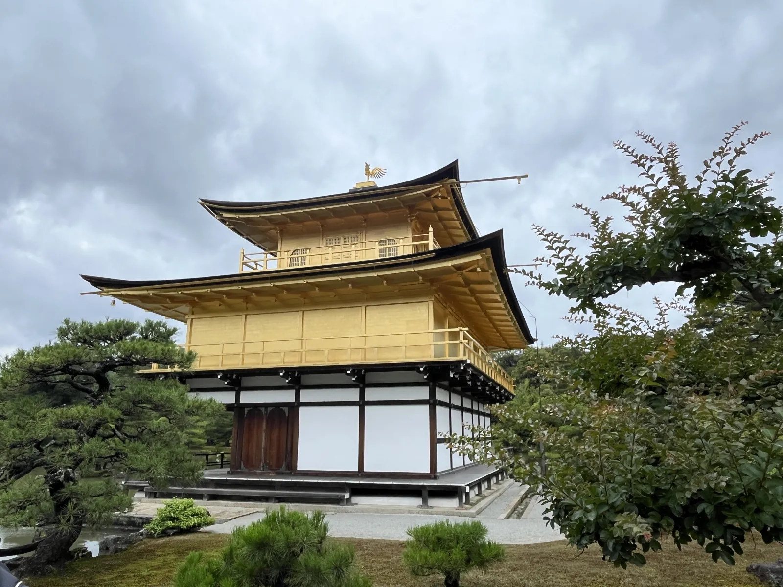 Kinkakuji in late afternoon light—the warmest gold-leaf color appears in the hour before closing