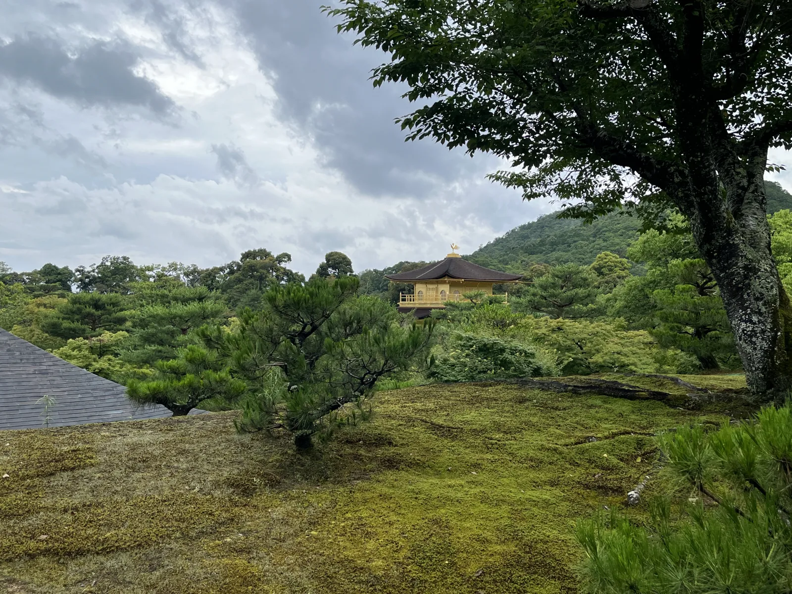 The garden circuit beyond the main viewing point—fewer visitors, more context