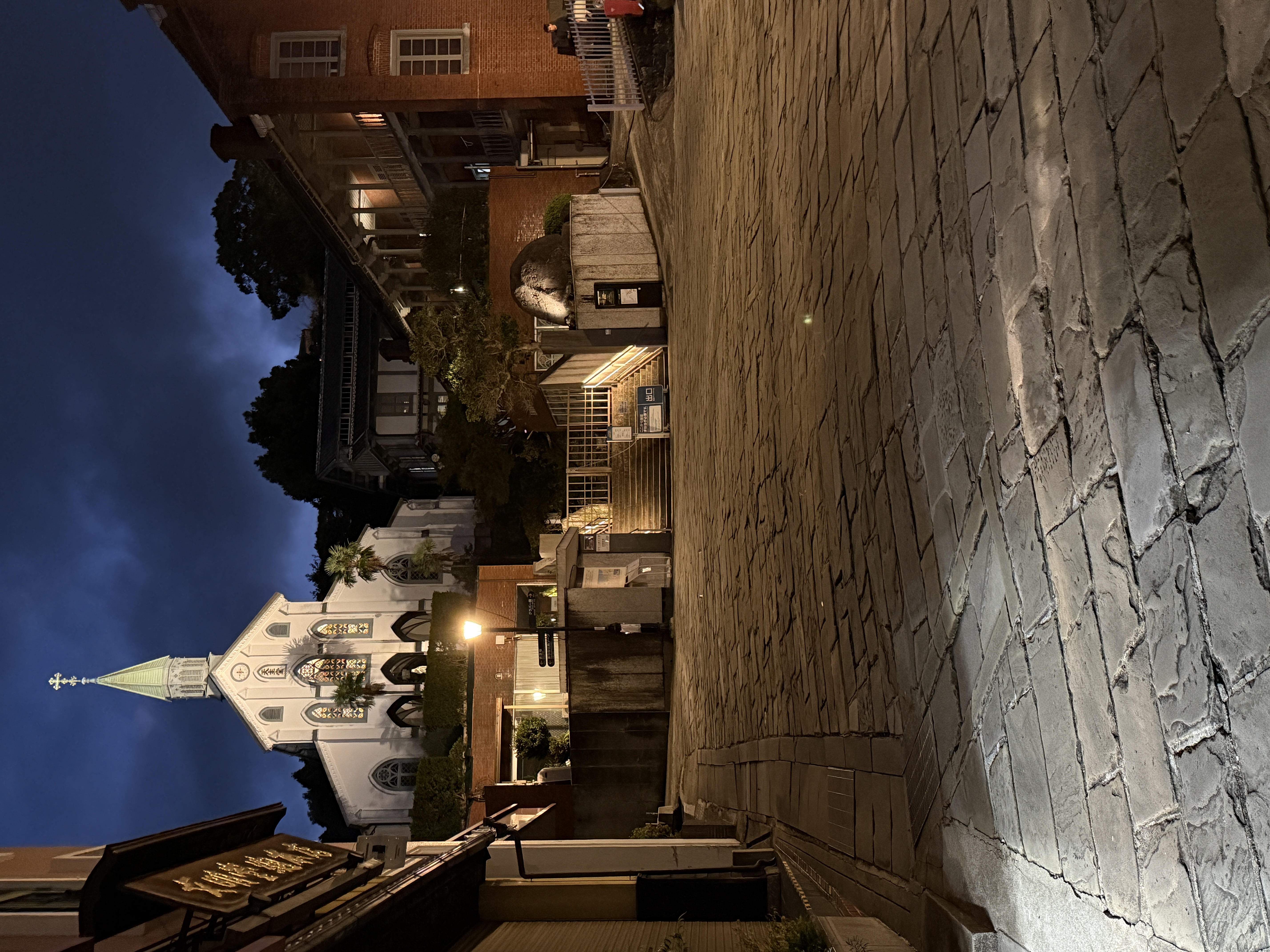 Streets of Nagasaki rising up the hills above the harbor