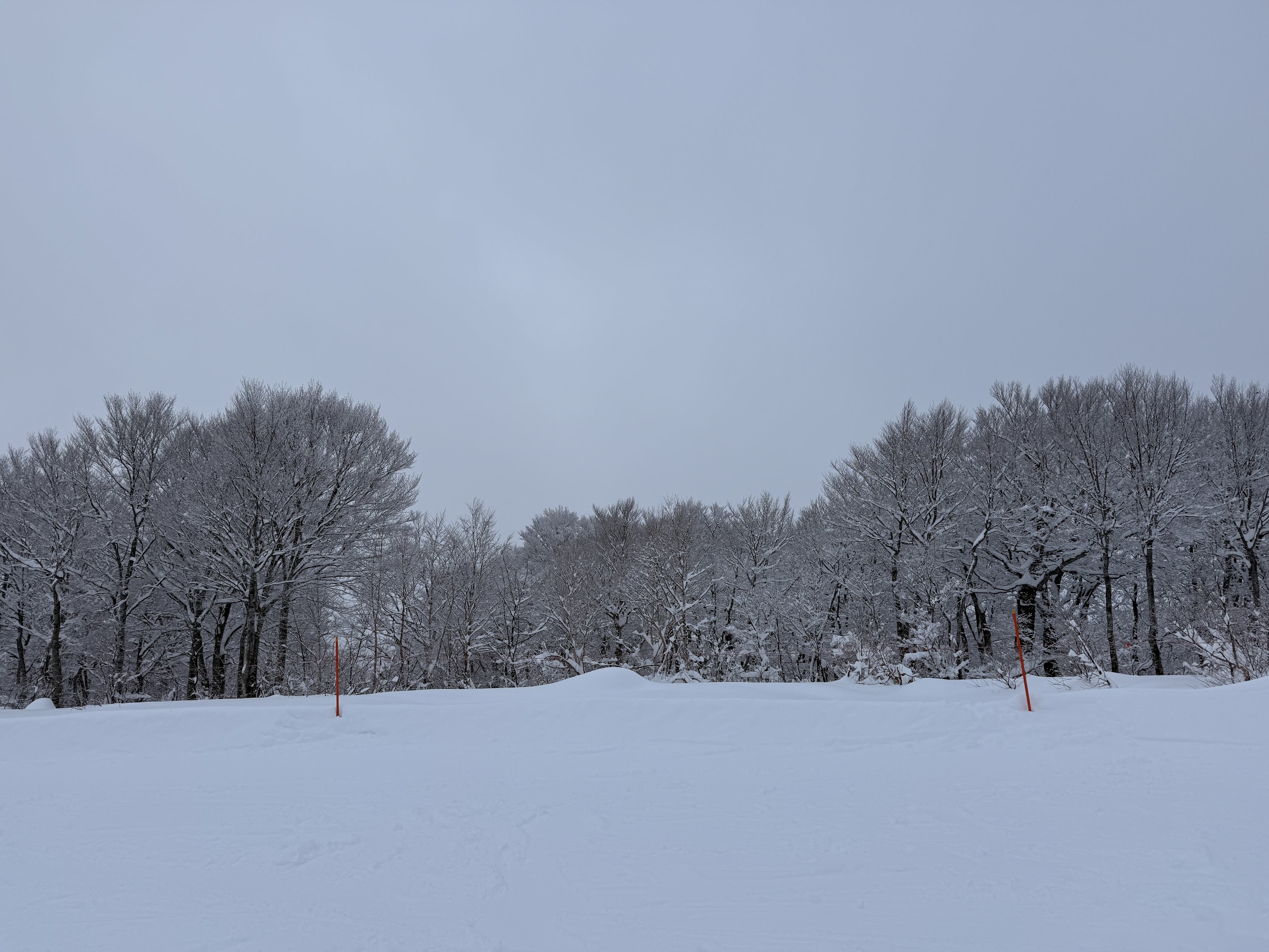 The rental center at the base—booking online before arriving eliminates the morning queue