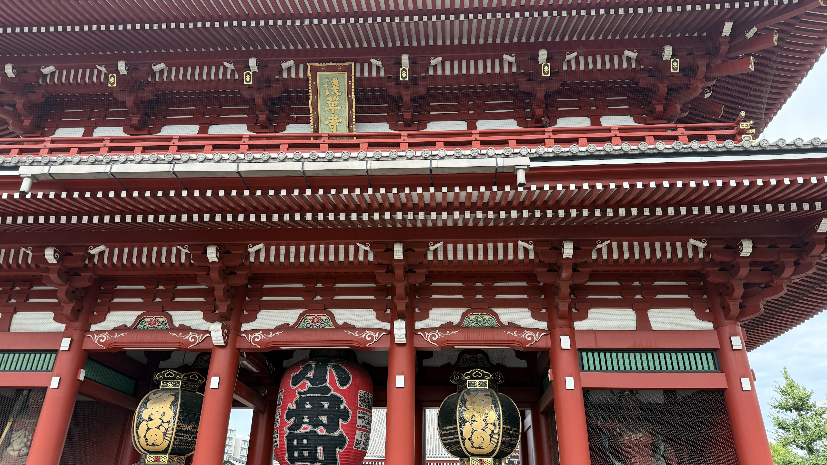 Omikuji fortune slips tied at Senso-ji—roughly 30% are kyo (bad luck), by deliberate design