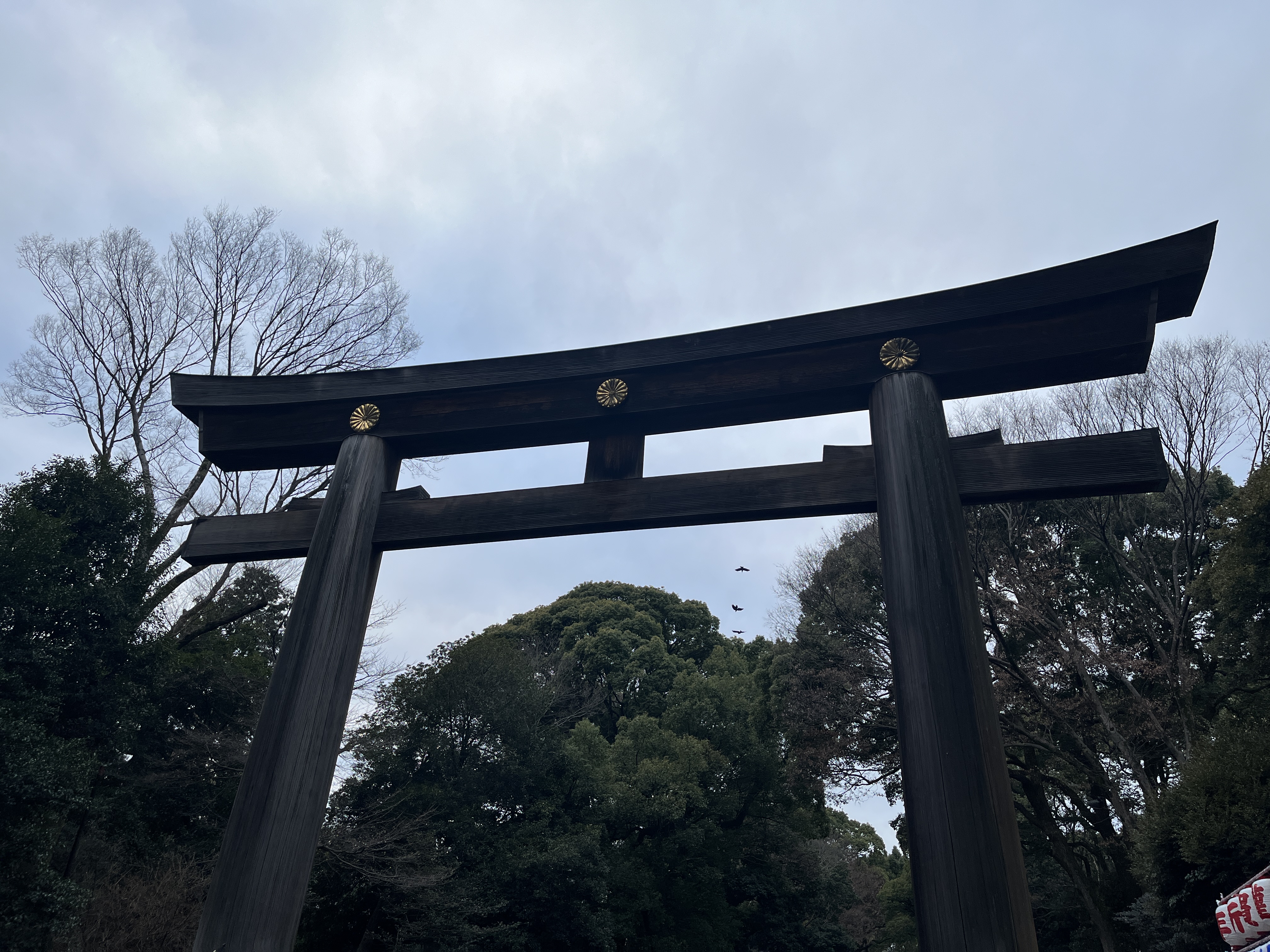 The sake and wine barrels along the Meiji Jingu sando—East and West in the same grove
