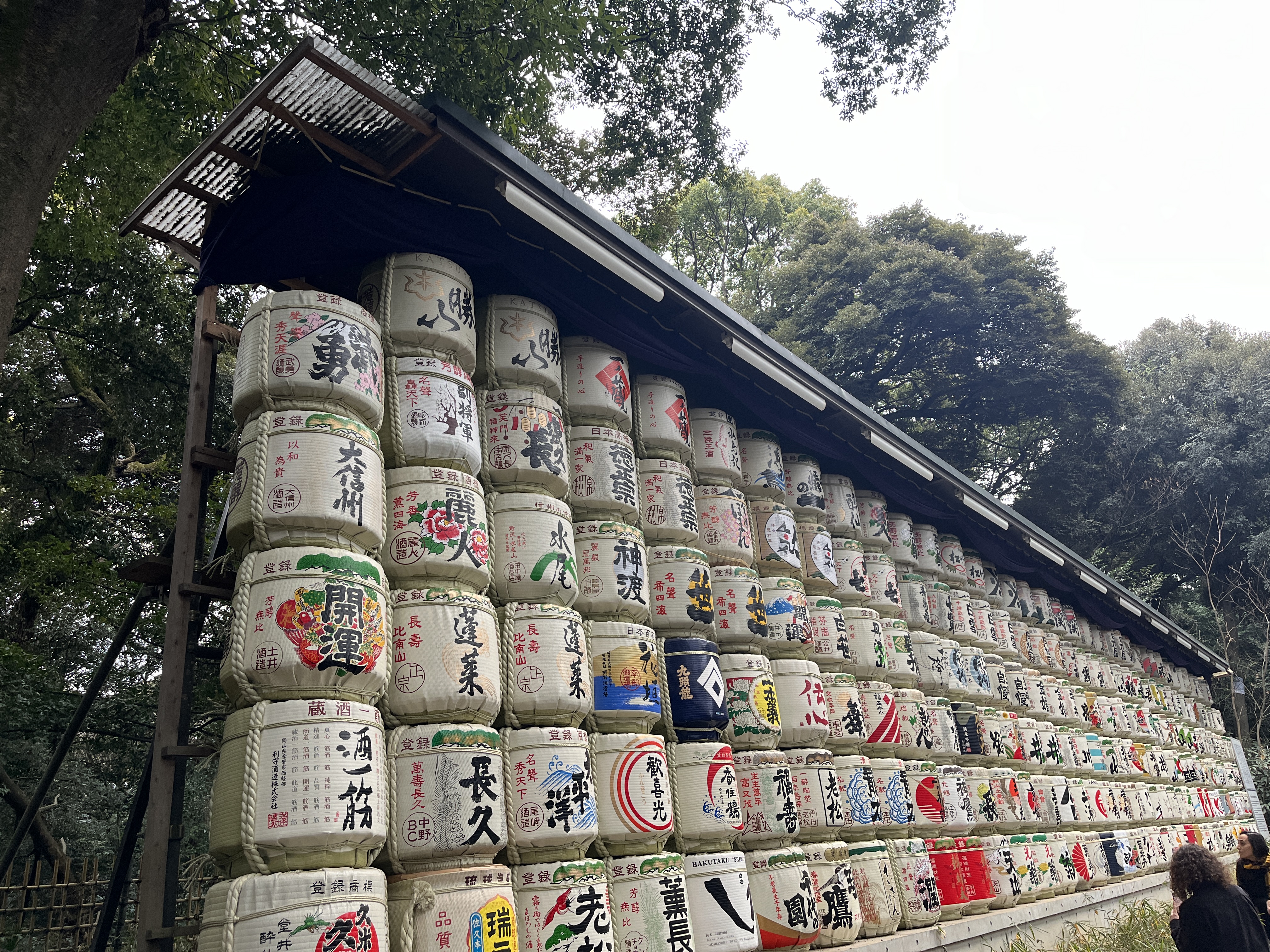 The Ōtorii—the largest wooden torii gate in Japan, cypress from a 1,500-year-old tree