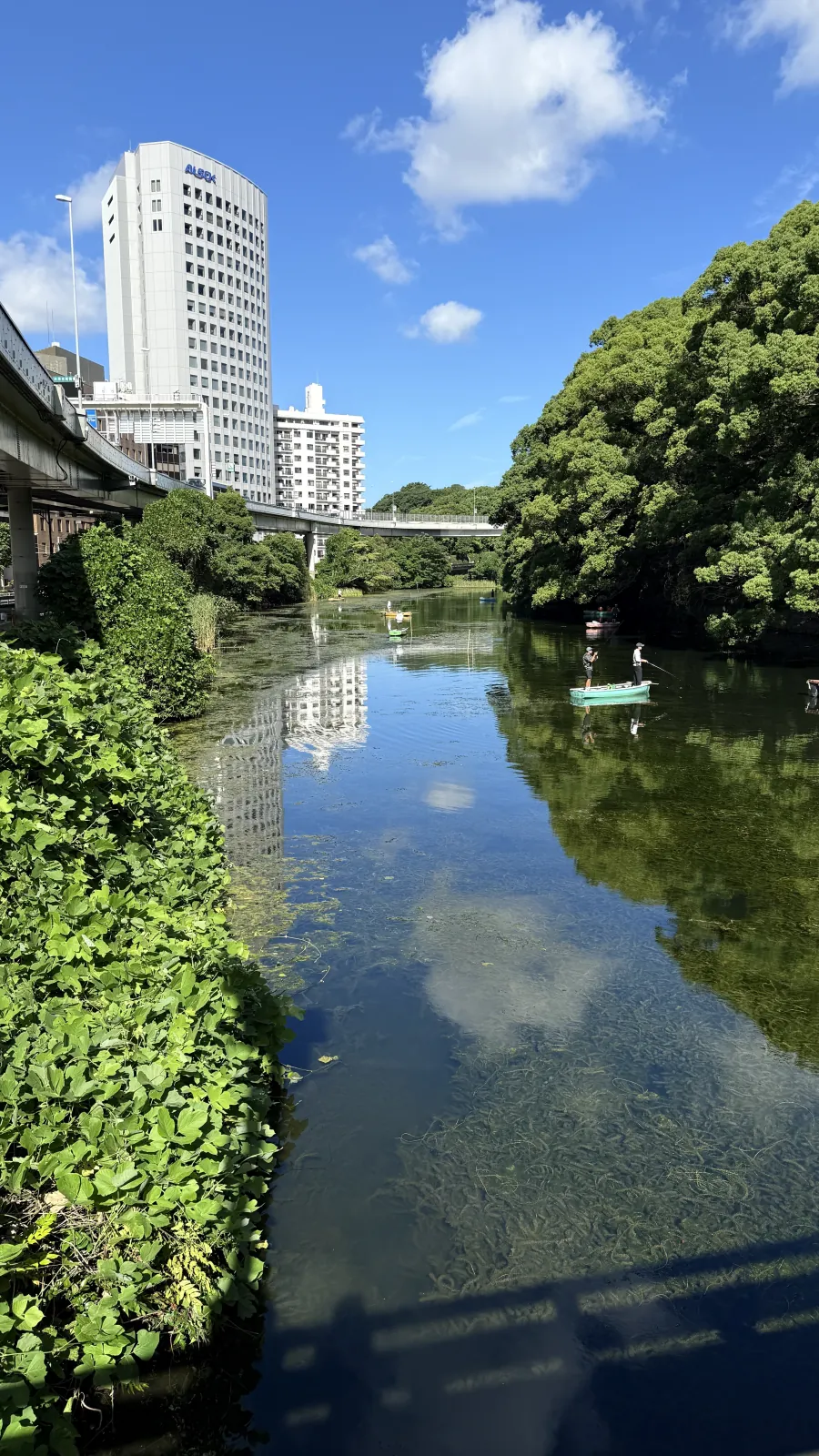 Tree-lined path beside the Akasaka Palace grounds near Kioicho