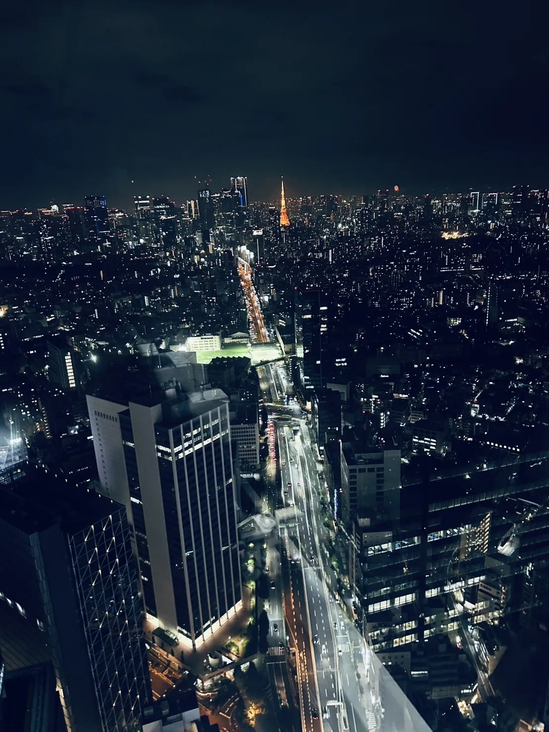 The Shibuya Scramble Crossing from 229 meters—the crossing's flow patterns become legible only from above